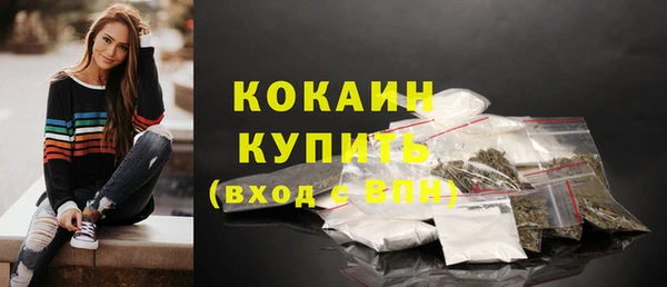 сатива Краснослободск