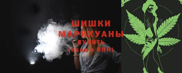 сатива Краснослободск