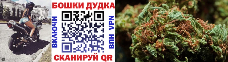Конопля тримм  где купить   hydra зеркало  Колпашево 